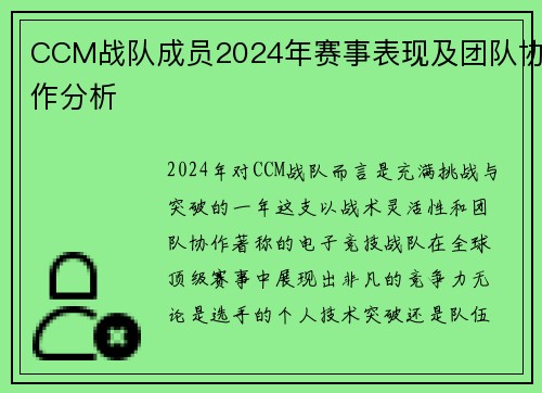 CCM战队成员2024年赛事表现及团队协作分析